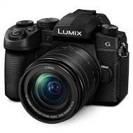 Panasonic LUMIX G95 20.3 Megapixel Mirrorless Camera, 12-60mm F3.5-5.6 Micro Four Thirds Lens, 5-Axis Dual I.S. 2, 4K 24p 30p Video, Pre-Installed V-Log L, 3” Flip-Out Touchscreen