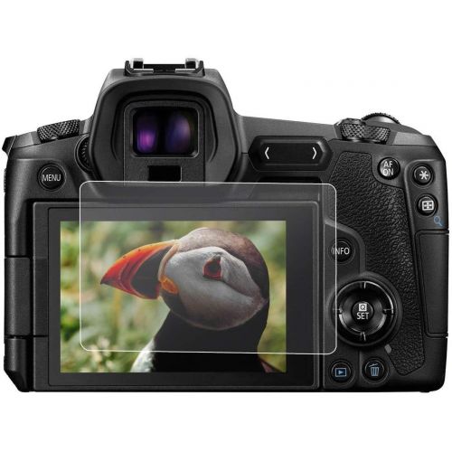 파나소닉 Panasonic LUMIX GH5S 4K Mirrorless Digital Camera, 10.2MP high-sensitivity MOS sensor, Bundle with Vanguard Alta Pro 264AB 100 Aluminum Tripod with Ball Head, 32GB SD Card, LCD Pro