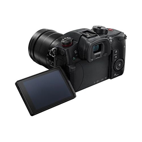 파나소닉 [아마존베스트]Panasonic Lumix DC-GH5SEG-K System Camera 10 MP Professional Video Functions Weatherproof Magnesium Housing Black