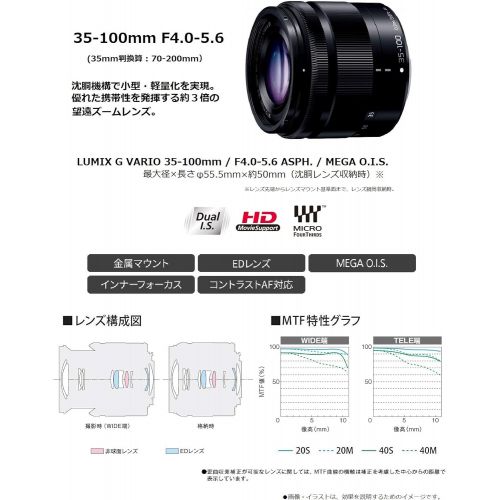 파나소닉 Panasonic LUMIX G VARIO 35-100mm  F4.0-5.6 ASPH.  MEGA O.I.S. H-FS35100 -K (Black) - International Version (No Warranty)