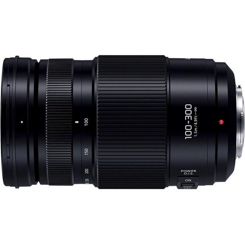 파나소닉 Panasonic interchangeable lens LUMIX G VARIO 100-300mm  F4.0-5.6 II  POWER O.I.S. [Micro Four Thirds mount] (International Model)