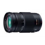 Panasonic LUMIX G VARIO 100-300mm F4.0-5.6 MEGA O.I.S H-FS100300 - International Version (No Warranty)