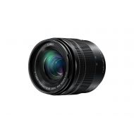 Panasonic PANASONIC LUMIX G VARIO LENS, 35-100MM, F4.0-5.6 ASPH., MIRRORLESS MICRO FOUR THIRDS, MEGA OPTICAL I.S., H-FS35100K (USA BLACK)