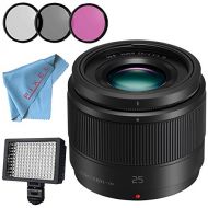 Panasonic Lumix G 25mm f1.7 ASPH. Lens + 46mm 3 Piece Filter Kit + Professional 160 LED Video Light Studio Series + Fibercloth Bundle