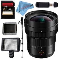 Panasonic Leica DG Vario-Elmarit 8-18mm f2.8-4 ASPH. Lens + 256GB SDXC Card + 67mm 3 Piece Filter Kit + Deluxe 70 Monopod + Professional 160 LED Video Light Studio Series + Memory