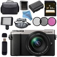 Panasonic Lumix DC-GX9 Mirrorless Micro Four Thirds Digital Camera with 12-60mm Lens (Silver) + 64GB SDXC Memory Card Bundle