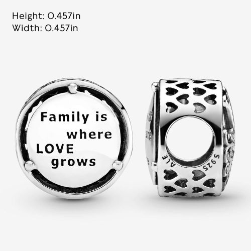  Pandora 797590 Sterling Silver Family Roots Charm