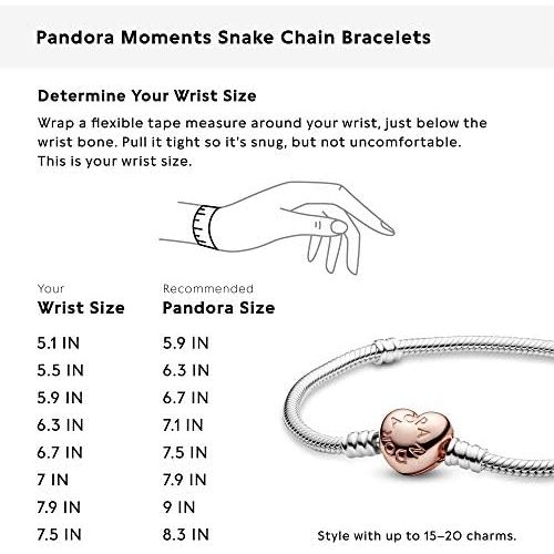  Pandora Womens Charm Bracelets 925 Sterling Silver 580719-17