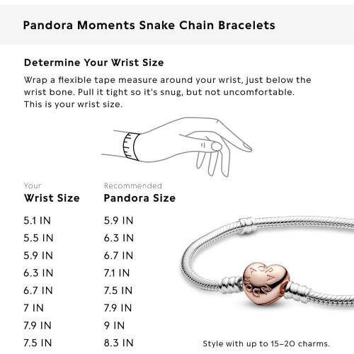  Pandora Womens Charm Bracelets 925 Sterling Silver 580719-17