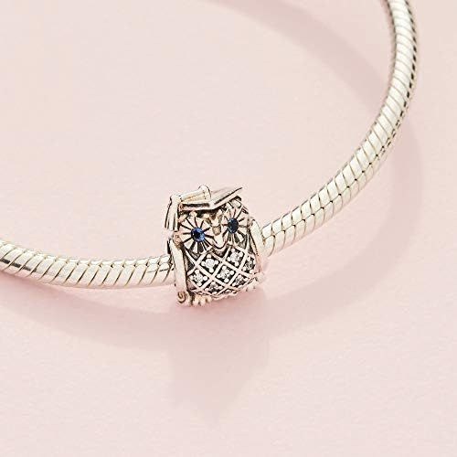  Pandora 791502NSB Graduate Owl Charm by Pandora