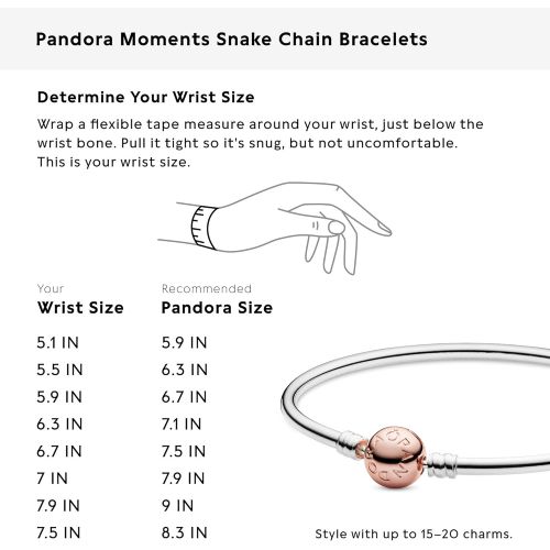  Silver Bracelet Pandora Rose 580713, Silver, Silver