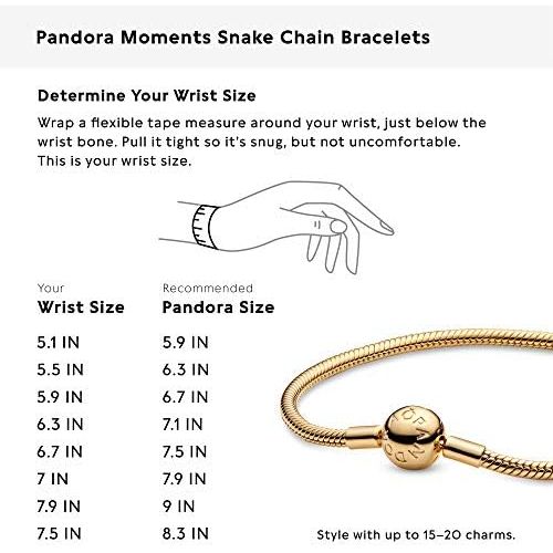  Pandora 567107-20 Womens Charm Bracelets 925 Sterling Silver