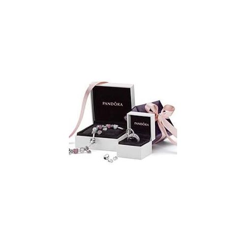  Original Pandora Gift Set, 1 Silver Charm Around the World 791718CZ and 1 Silver Charm Case 790362
