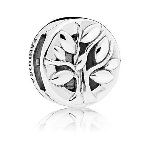  Pandora Womens Charm Reflexions Trendy Art. 797779