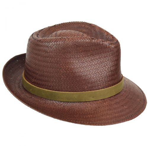  Pantropic LiteStraw Soho Stroller Fedora