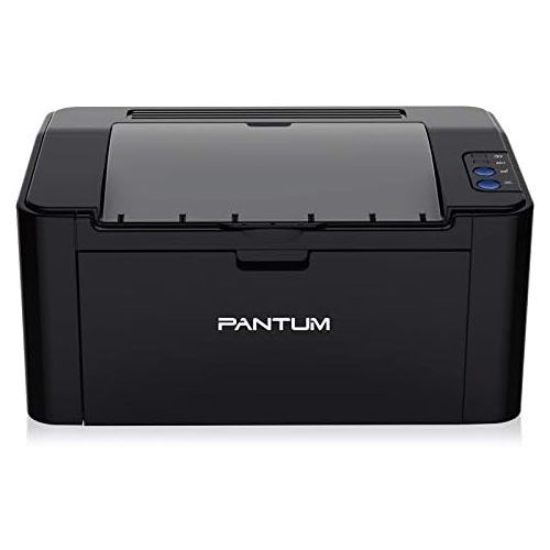  Pantum Monochrome Laser Printer with Wireless Networking and Mobile Printing P2502W