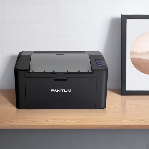  Pantum Monochrome Laser Printer with Wireless Networking and Mobile Printing P2502W