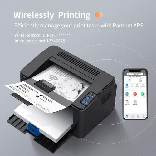  Pantum Monochrome Laser Printer with Wireless Networking and Mobile Printing P2502W