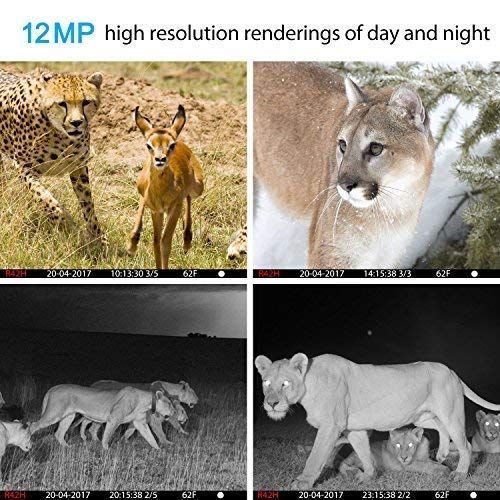  Trail Camera, Papake Wildlife Camera Hunting Game Camera with Night Vision, 1080P HD 12 MP 3 Zone Infrared Sensor IP66 Waterproof Deer Camera Surveillance Scouting (With 32G SD Car