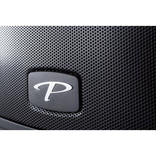  Paradigm Shift PW-600 Premium Wireless Speaker (Black)