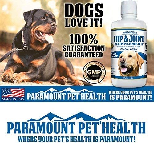  Paramount Pet Health Natural Concentrated Glucosamine for Dogs - 5200mg Glucosamine Chondroitin for Dogs - Dog Joint Supplement & Dog Glucosamine - Dog Hip and Joint Supplement