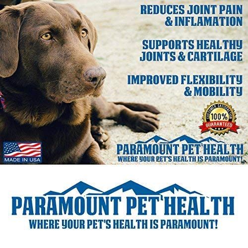  Paramount Pet Health Natural Concentrated Glucosamine for Dogs - 5200mg Glucosamine Chondroitin for Dogs - Dog Joint Supplement & Dog Glucosamine - Dog Hip and Joint Supplement