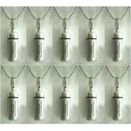Pasco Specialty Products Set of TEN Classic Brushed Silver ANOINTING OIL HOLDER/Vial Necklaces with ENGRAVED BLESSING - Includes Velvet Pouches, Ball-Chains & Funnel