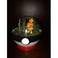 Patrizian Torchic Pokemon Terrarium - Pokemon Fan Made Pokeballs