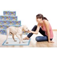 Pawssible Training Pads for Dogs & Cats of Puppy Pads. Available in Large & XXL for Any Size Pet