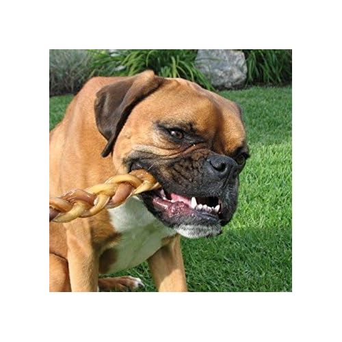  [아마존핫딜][아마존 핫딜] Pawstruck 12 Braided Bully Sticks for Dogs - Natural Bulk Dog Dental Treats & Healthy Chews, Chemical Free, 12 inch Best Low Odor Pizzle Stix