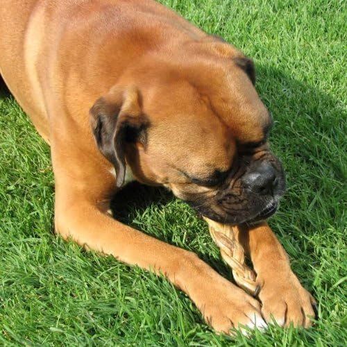  [아마존핫딜][아마존 핫딜] Pawstruck 12 Braided Bully Sticks for Dogs - Natural Bulk Dog Dental Treats & Healthy Chews, Chemical Free, 12 inch Best Low Odor Pizzle Stix