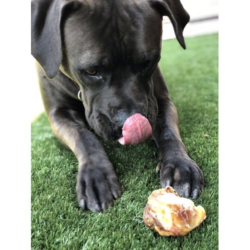  [아마존핫딜][아마존 핫딜] Pawstruck Knee Cap Bones for Dogs | Made in USA & Natural | Long Lasting Meaty Chews Made American Cattle | Single Ingredient Meat Treat, No Artificial Flavors | Supports Dental He