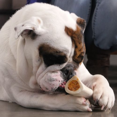  Pawstruck Filled Dog Bones (Flavors: Peanut Butter, Cheese, Bacon, Beef, etc.) Made in USA Stuffed Bulk 3 to 6 Femur Dog Dental Treats & Chews, American Made