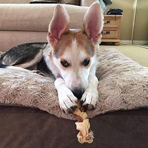  Pawstruck 7 Bully Stick Rawhide Braids for Dogs - Natural Bulk Dog Dental Treats & Healthy Chew Bones for Aggressive & Passive Chewers, Beef Best Low Odor Thick Pizzle Stix