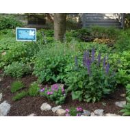 Peacefulworlddesigns Peace Garden Sign