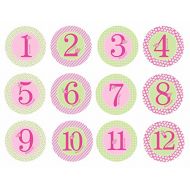 [아마존베스트]Pearhead First Year Monthly Milestone Photo Sharing Baby Belly Stickers, 1-12 Months, Pink