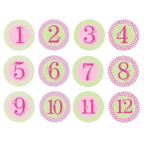  [아마존베스트]Pearhead First Year Monthly Milestone Photo Sharing Baby Belly Stickers, 1-12 Months, Pink