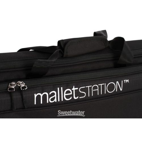  Pearl Soft Bag for EM1 malletSTATION