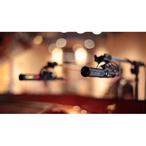  Pearl Microphone Labs ELM-C Large-Diaphragm Cardioid Condenser Microphone