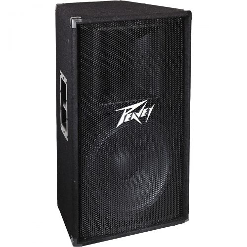  Peavey PV 115 2-Way 15 Speaker Cabinet