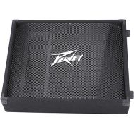 Peavey PV 12M 2-Way Floor Monitor