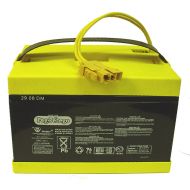 PEG PEREGO Peg Perego 24 Volt Battery IAKB0020