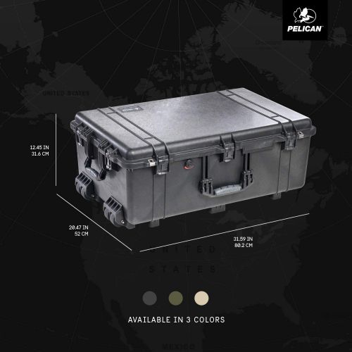  Pelican 1650 Case With Foam (Black)