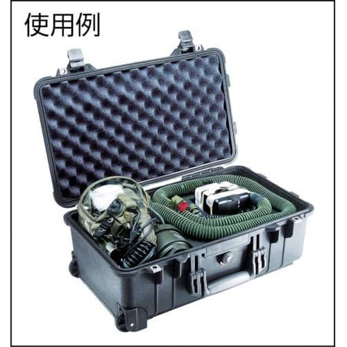  [아마존베스트]Pelican 1510 Case