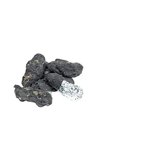  Pellets Inc Barn Owl Pellets - Large - Pack of 15