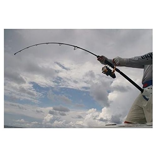  Penn Prevail Surf Casting Fishing Rod