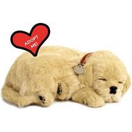 [아마존베스트]Perfect Petzzz Golden Retriever Plush