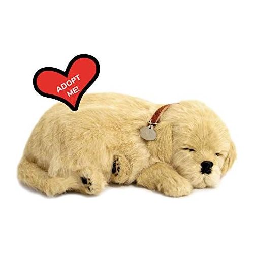  [아마존베스트]Perfect Petzzz Golden Retriever Plush