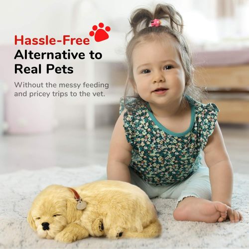  [아마존베스트]Perfect Petzzz Golden Retriever Plush