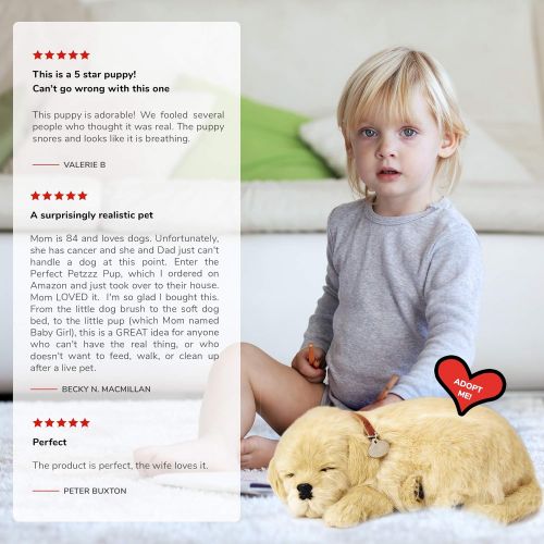  [아마존베스트]Perfect Petzzz Golden Retriever Plush